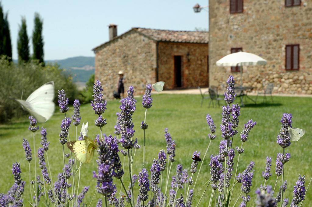 Tenuta Casabianca Murlo Room photo